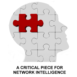 A Critical Piece for Network Intelligence