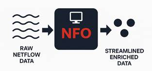 NFO-NetFlow-in-out